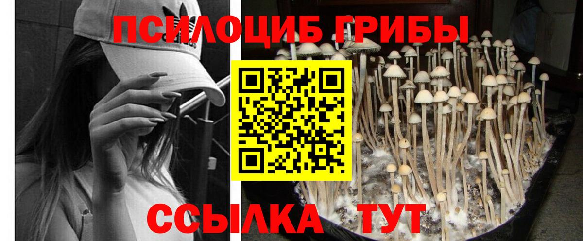 Псилоцибиновые грибы прущие грибы Кемерово